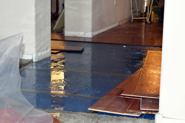 Professional Sewage Cleanup technician working in Bellflower, MO